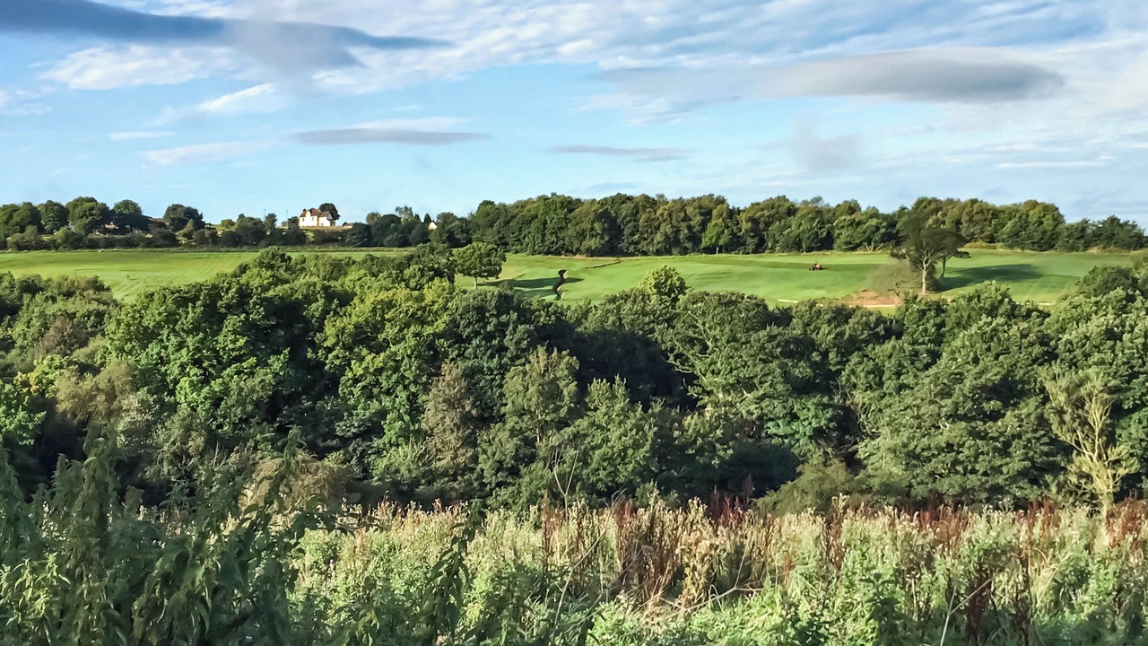 Photo of Others in Stoke-on-Trent