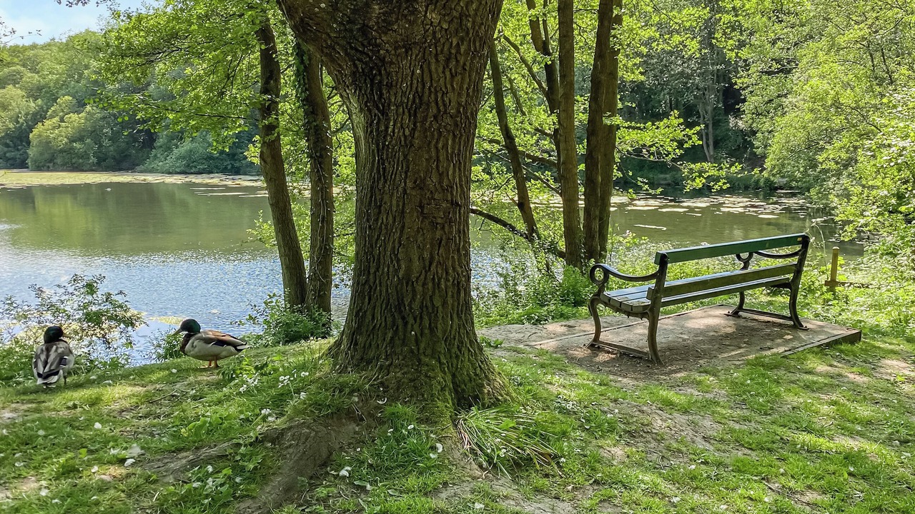 Photo of Others in Stoke-on-Trent