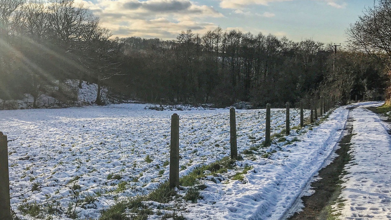 Photo of Others in Stoke-on-Trent