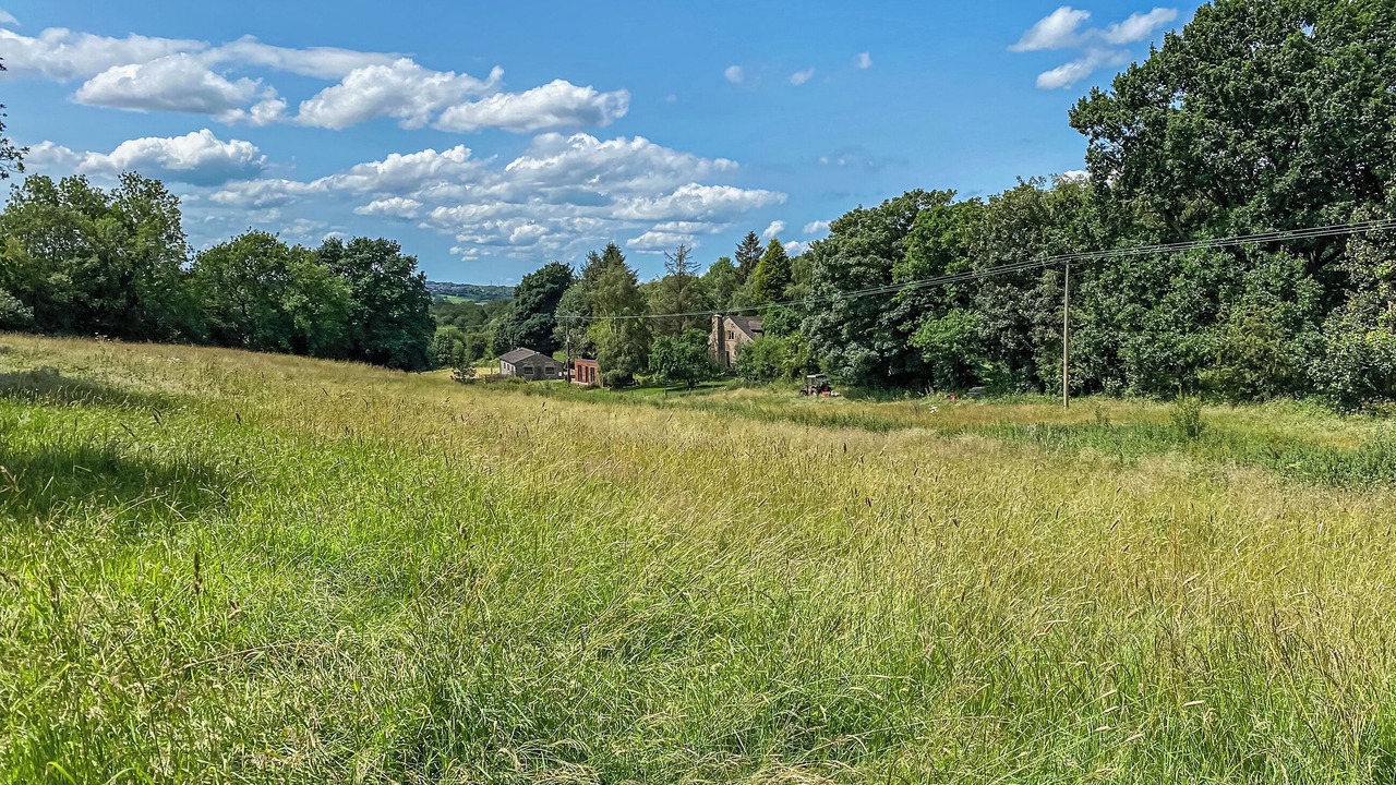 Photo of Others in Stoke-on-Trent