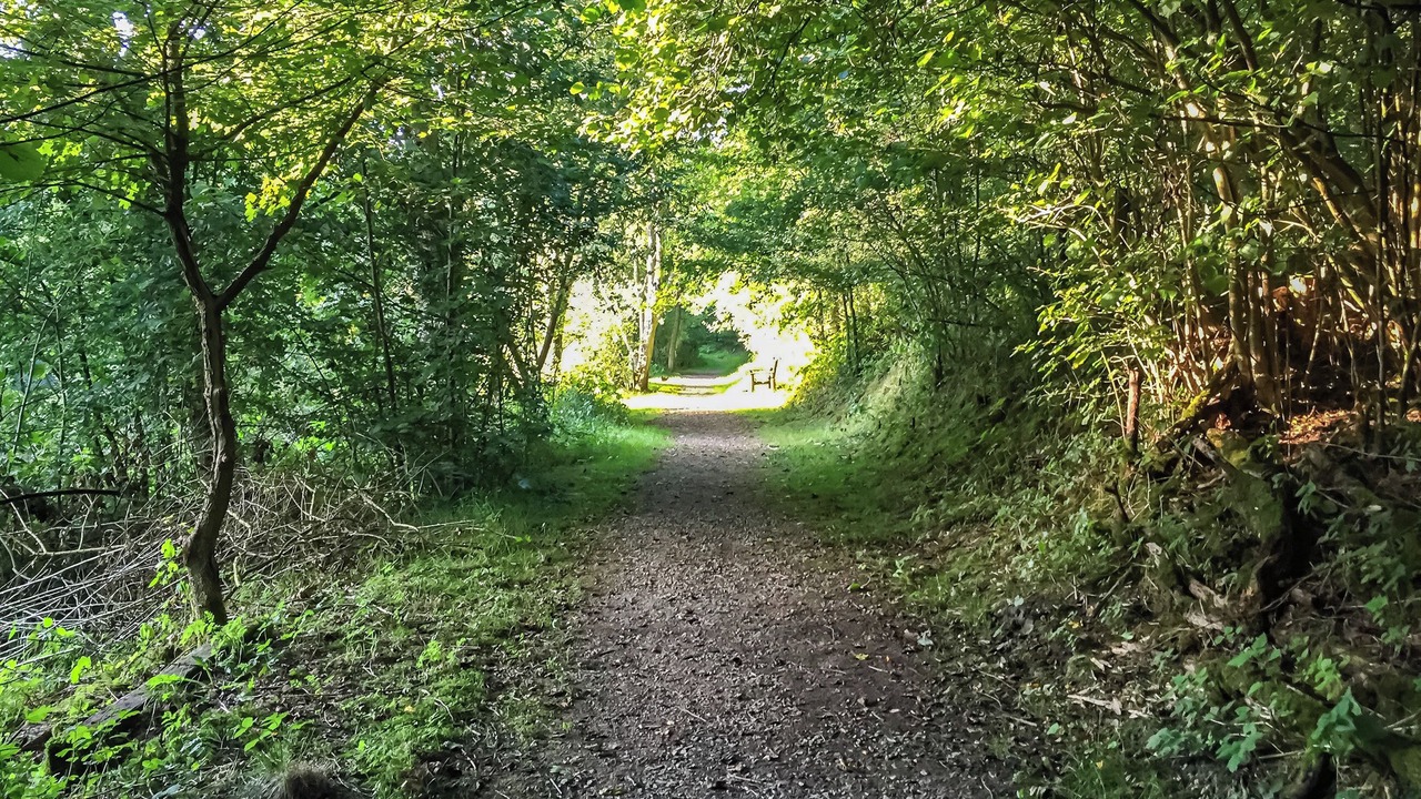 Photo of Others in Stoke-on-Trent