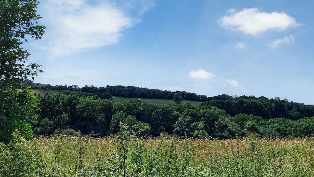 Photo of Others in Stoke-on-Trent