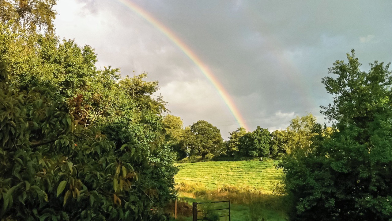 Photo of Others in Stoke-on-Trent