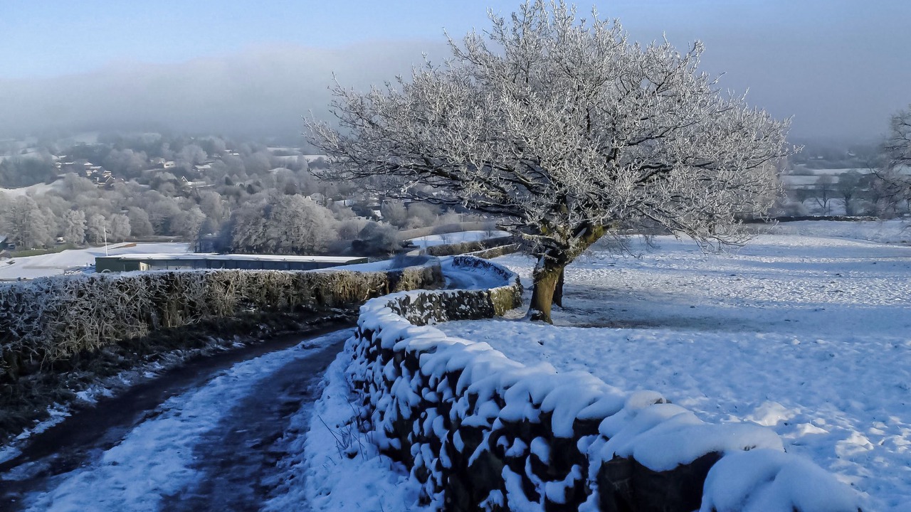 Photo of Others in Stoke-on-Trent