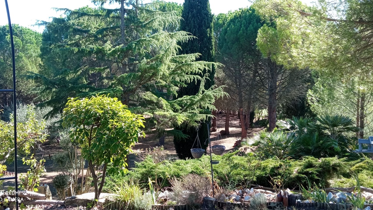 Photo of Outdoor in Brezilhac