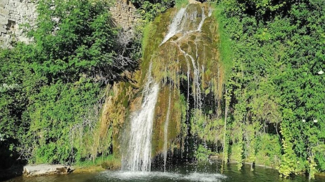 Photo of Others in Saint-Rome-de-Tarn