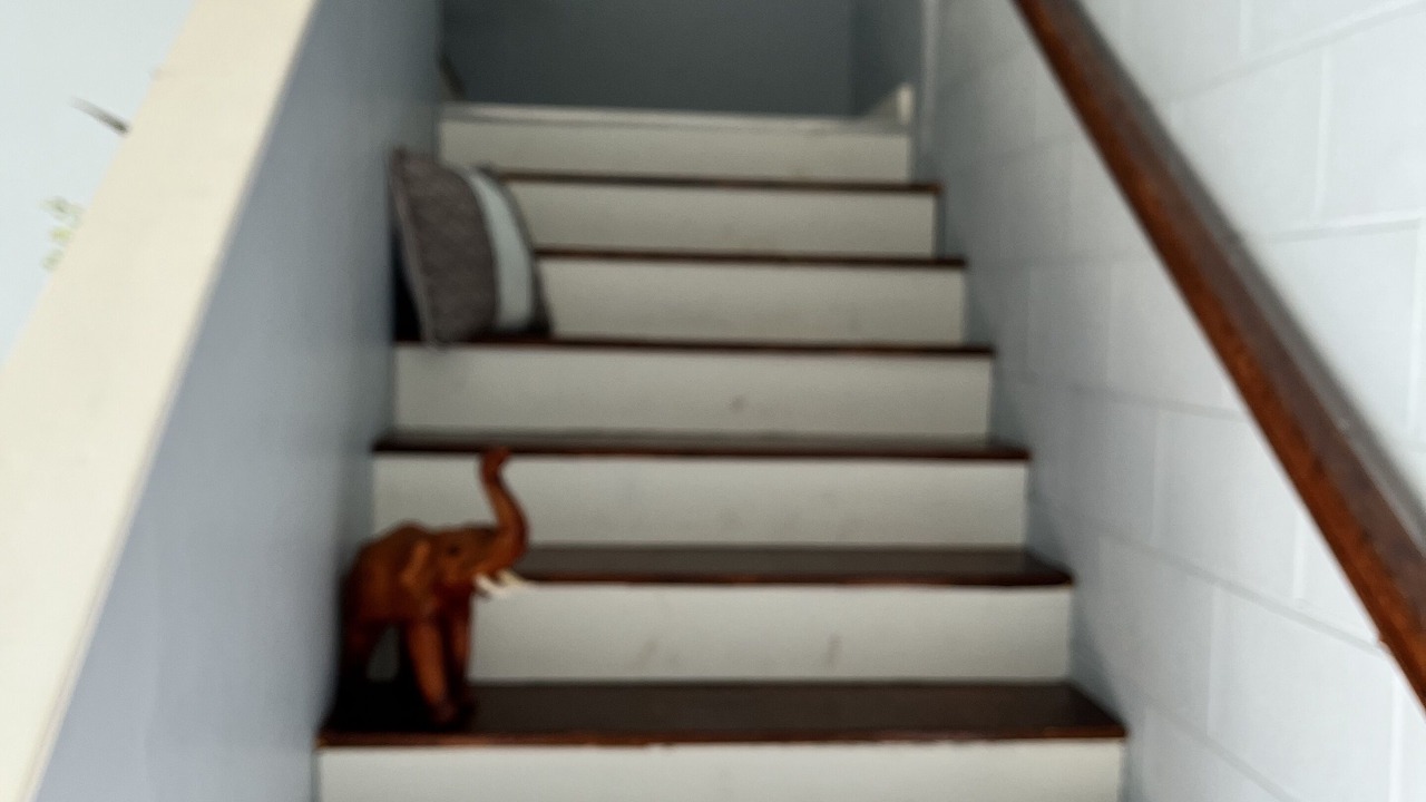 Photo of Others in Albany