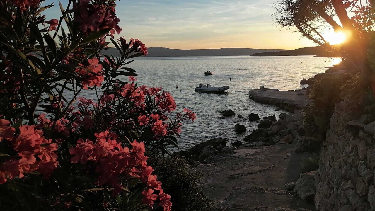 Photo of Outdoor in Cesarica