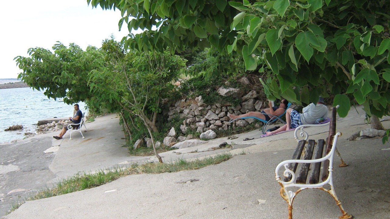 Photo of Outdoor in Cesarica