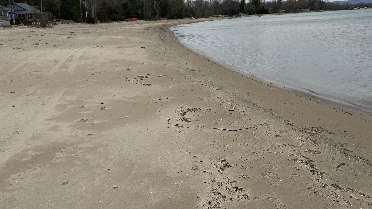 Photo of Others in Wasaga Beach