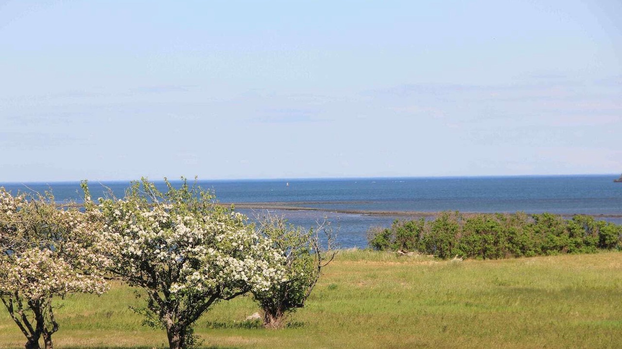 Photo of Others in Lubec