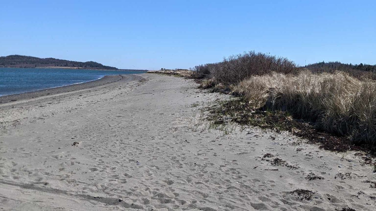 Photo of Others in Lubec