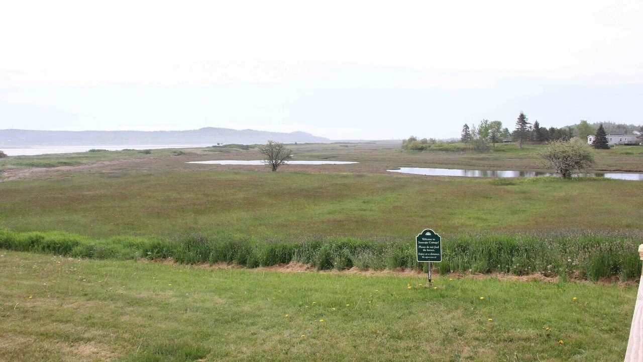 Photo of Others in Lubec
