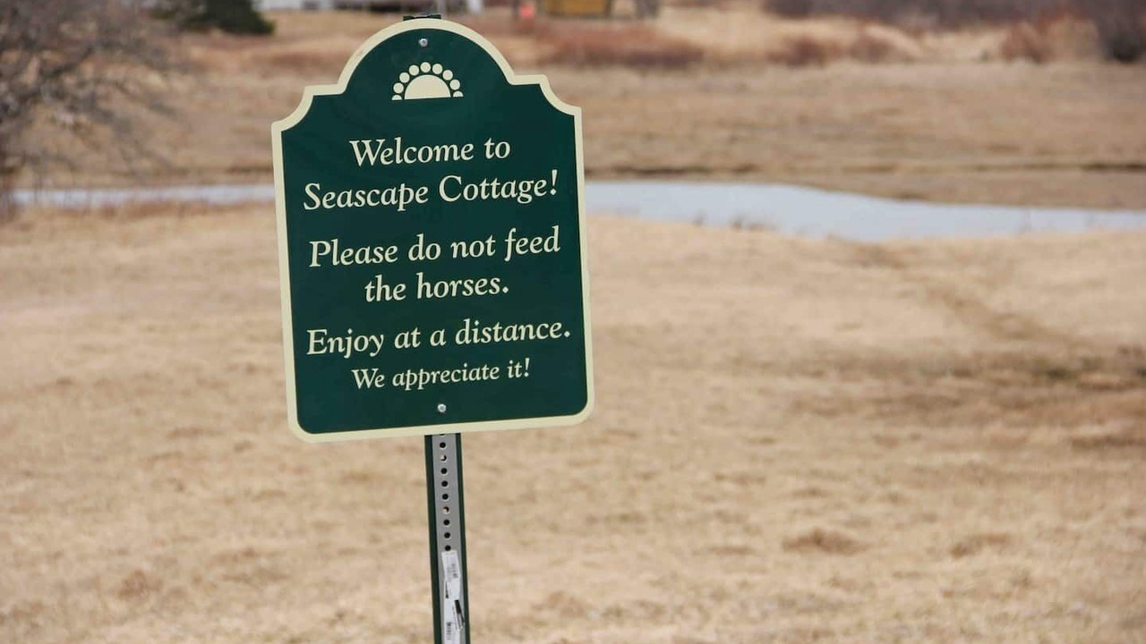 Photo of Others in Lubec