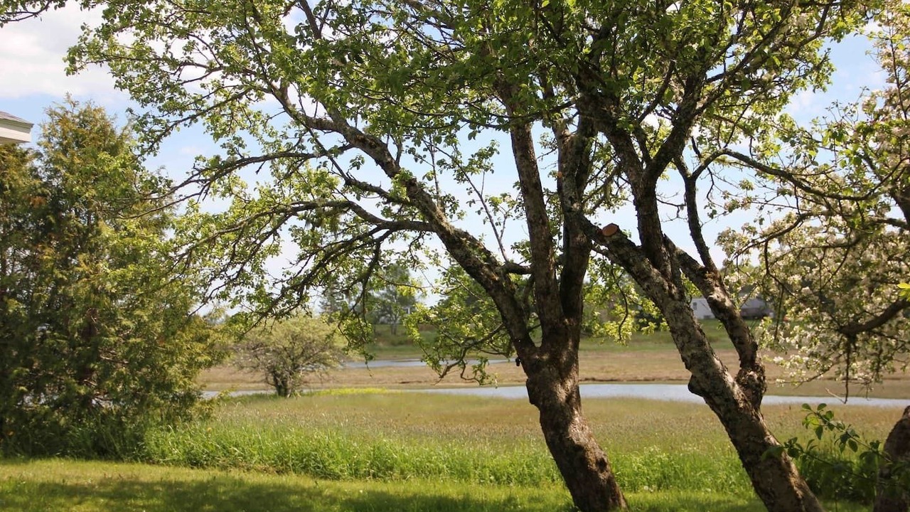 Photo of Others in Lubec