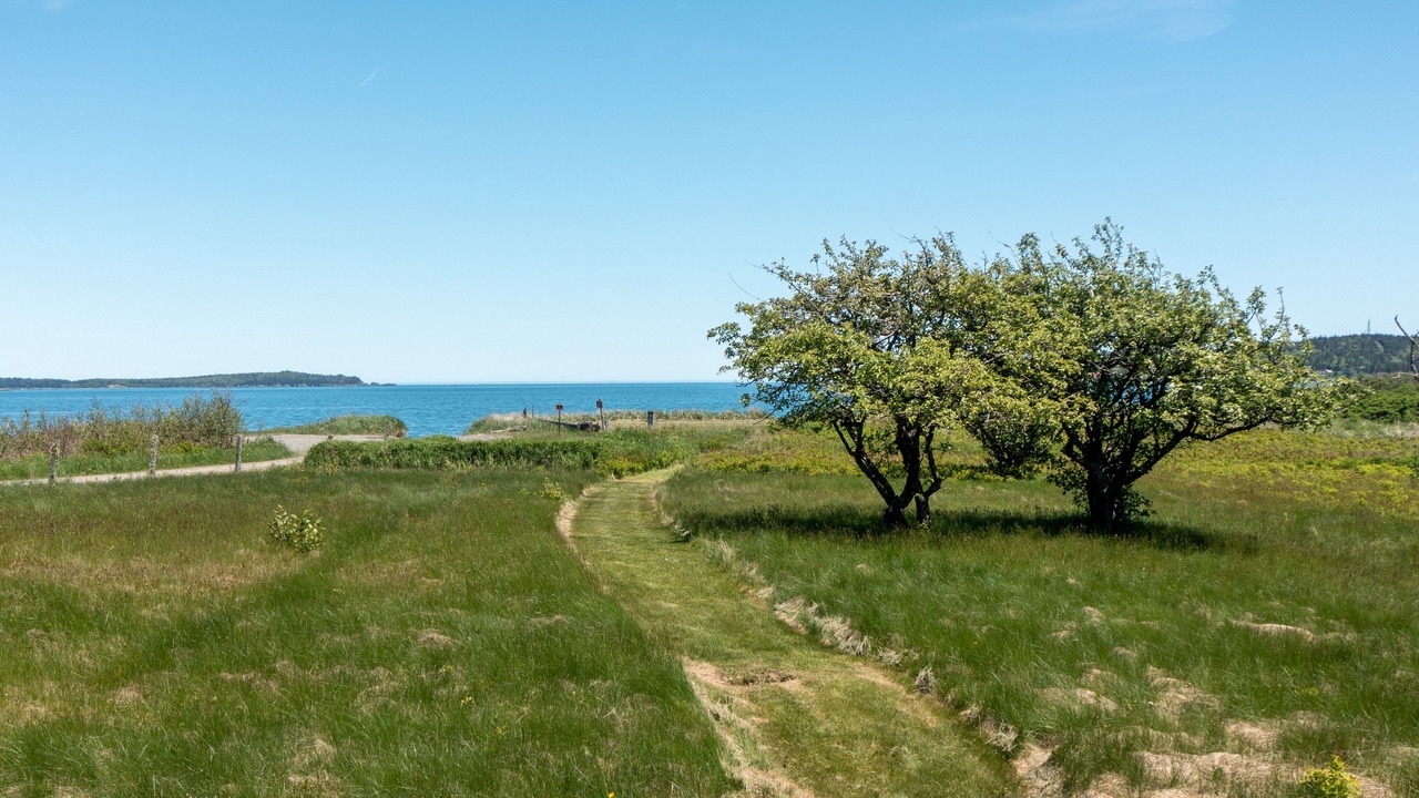 Photo of Others in Lubec