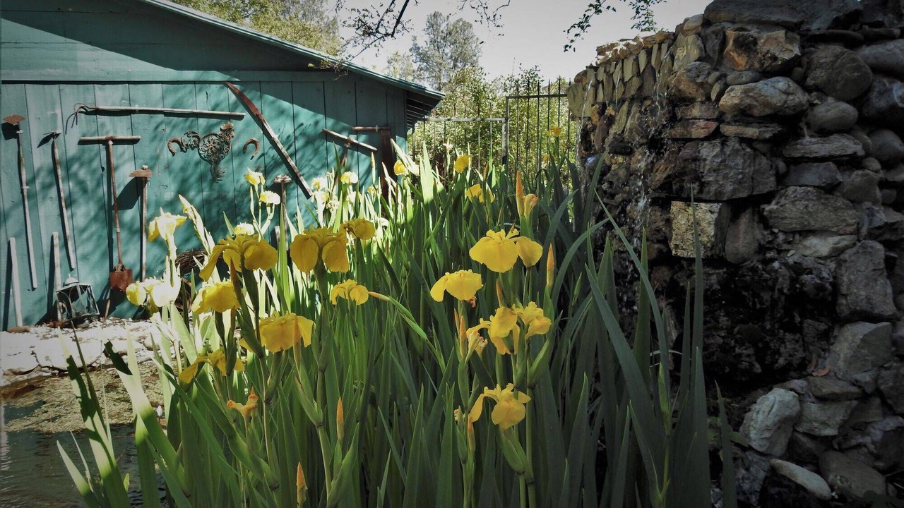 Photo of Others in Douglas Flat