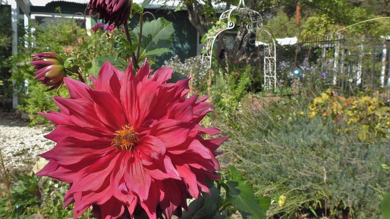 Photo of Others in Douglas Flat