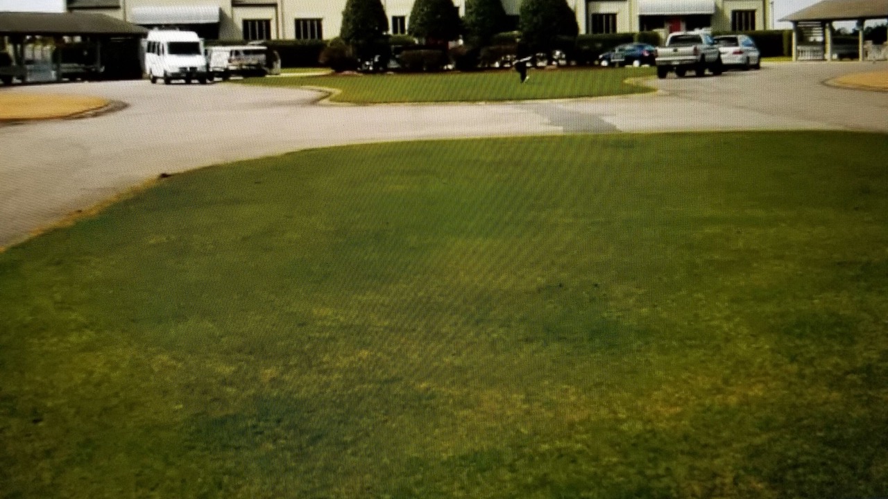 Photo of Others in Red Hill