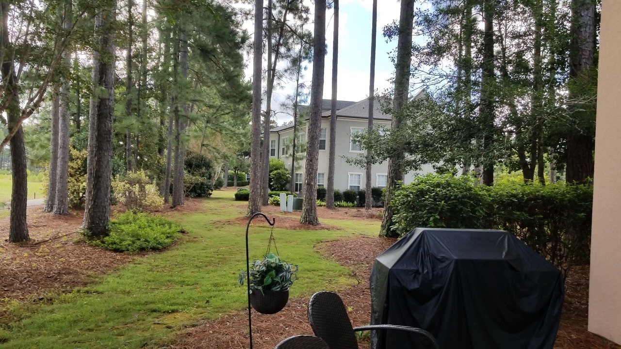 Photo of Outdoor in Red Hill
