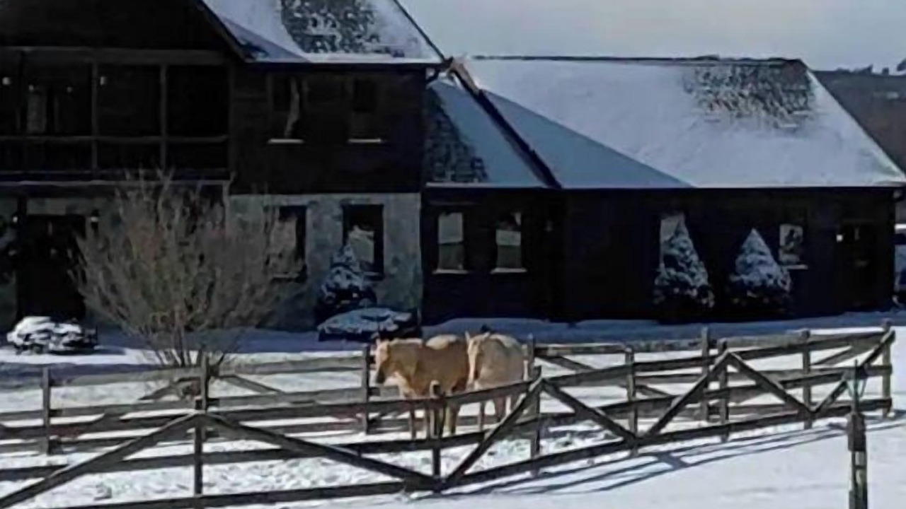Photo of Outdoor in Laurel Fork