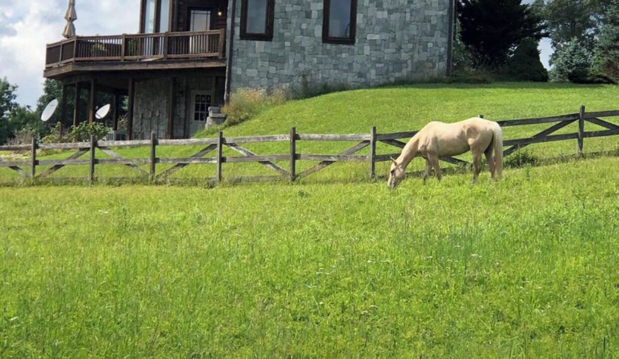 Photo of Outdoor in Laurel Fork