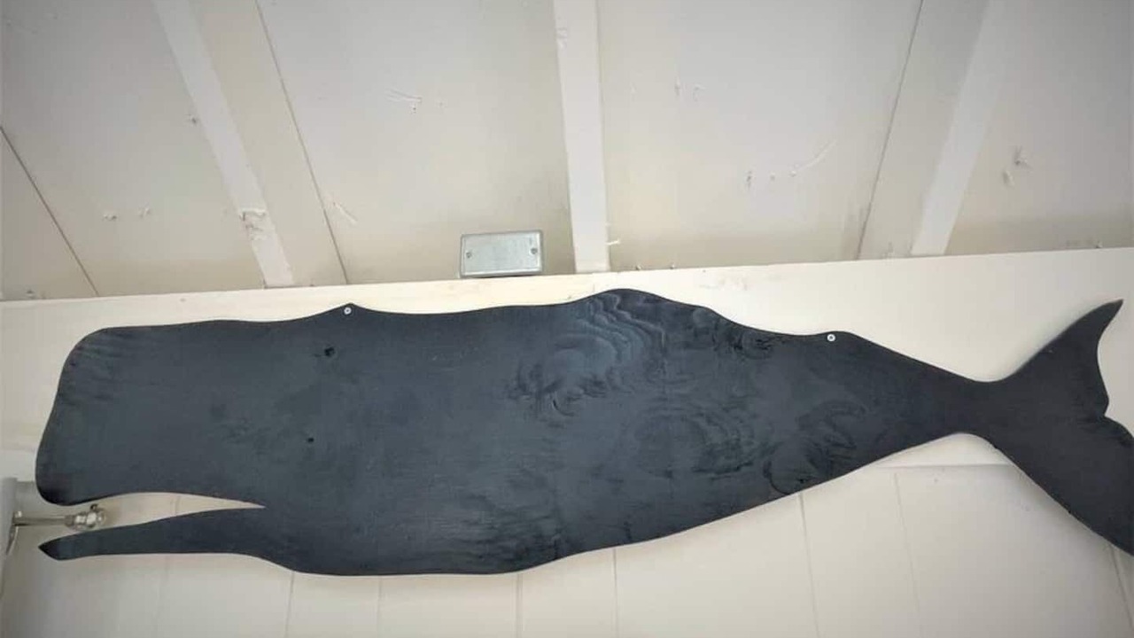 Photo of Others in Eastham