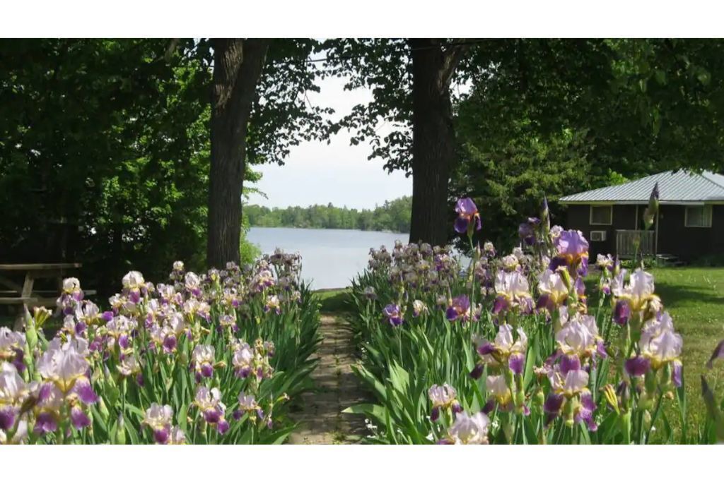 Photo of Outdoor in Frontenac