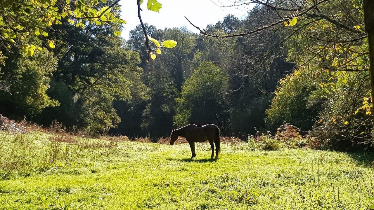Photo of Outdoor in Athis-Val de Rouvre