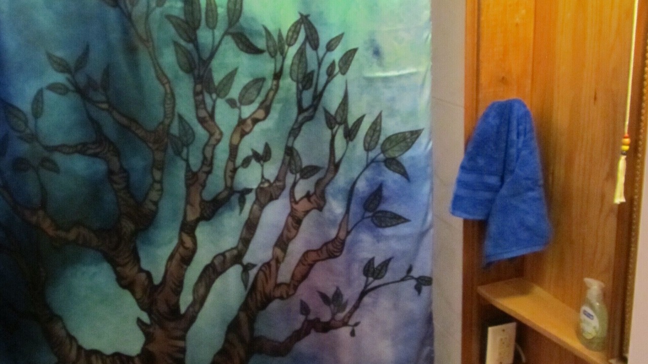 Photo of Bathroom in Holts Summit