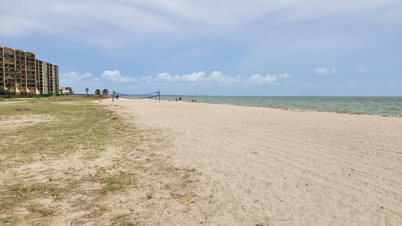 Photo of Others in North Beach