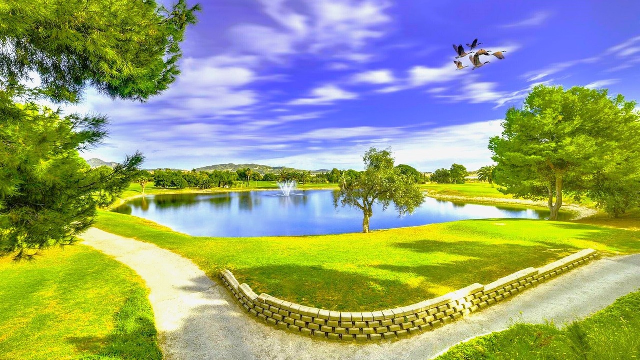 Photo of Outdoor in Pedreguer