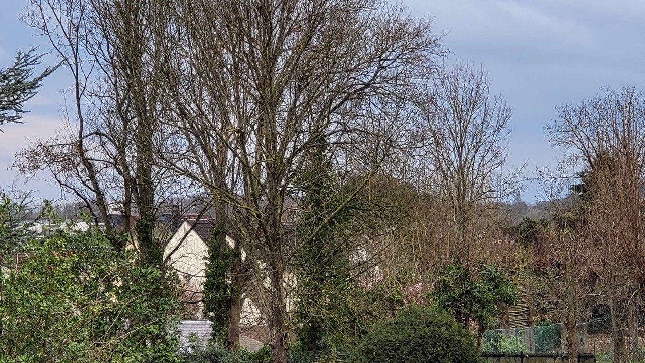 Photo of Others in Saint-Brice-sous-Foret