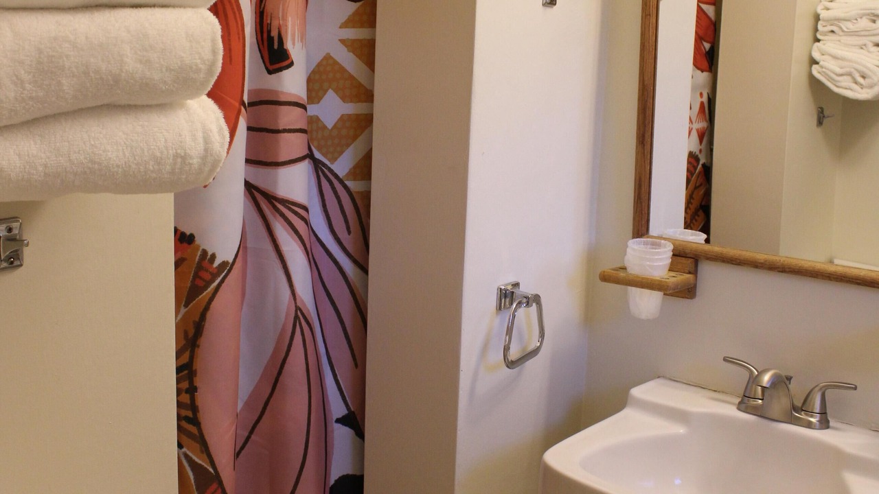 Photo of Bathroom in San Andreas