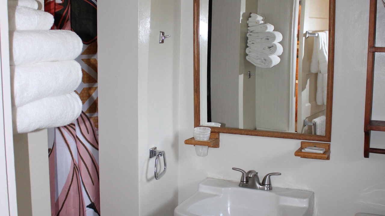 Photo of Bathroom in San Andreas