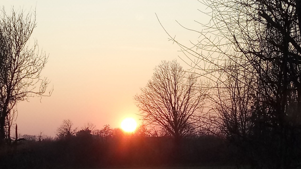 Photo of Others in Frangy-en-Bresse