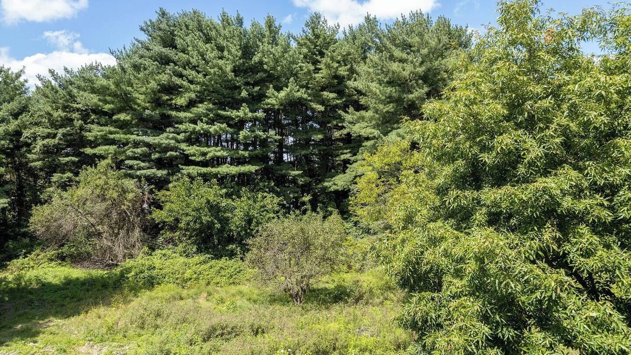 Photo of Others in Westerville