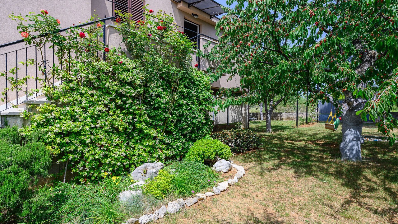 Photo of Outdoor in Dracevac