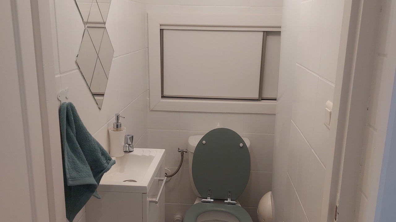 Photo of Bathroom in Cerbere