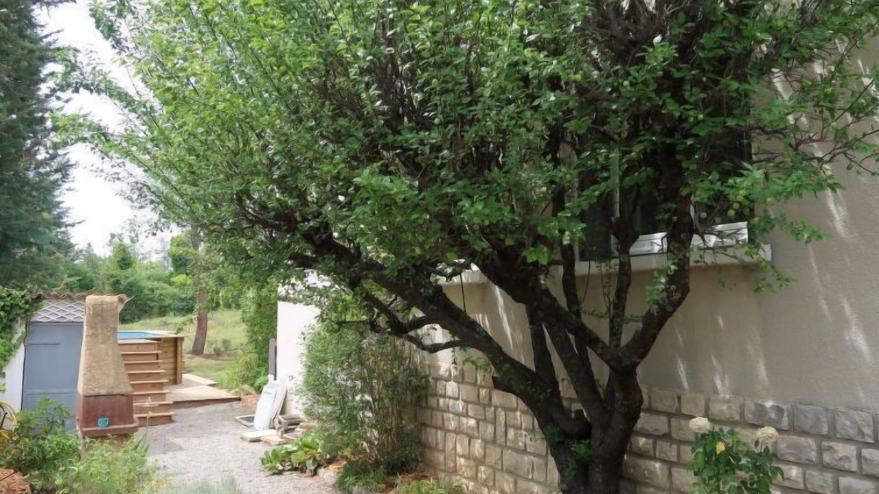 Photo of Outdoor in Cruis