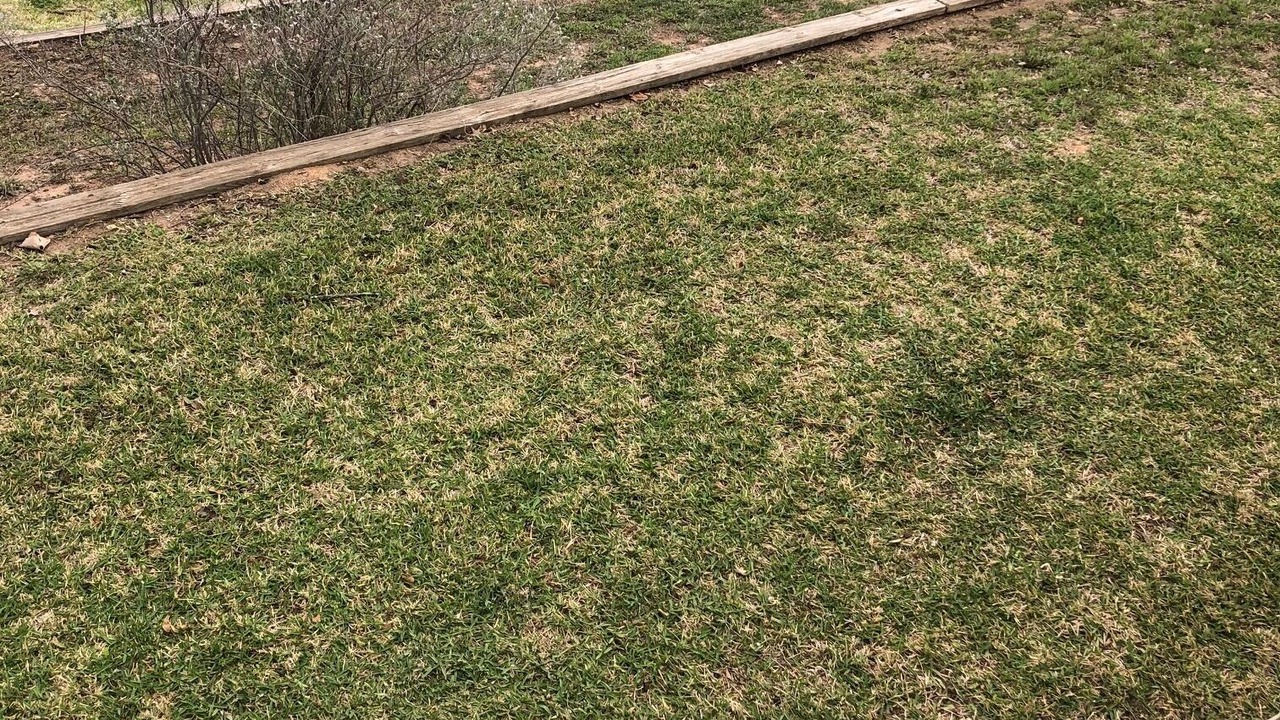 Photo of Outdoor in Buchanan Dam