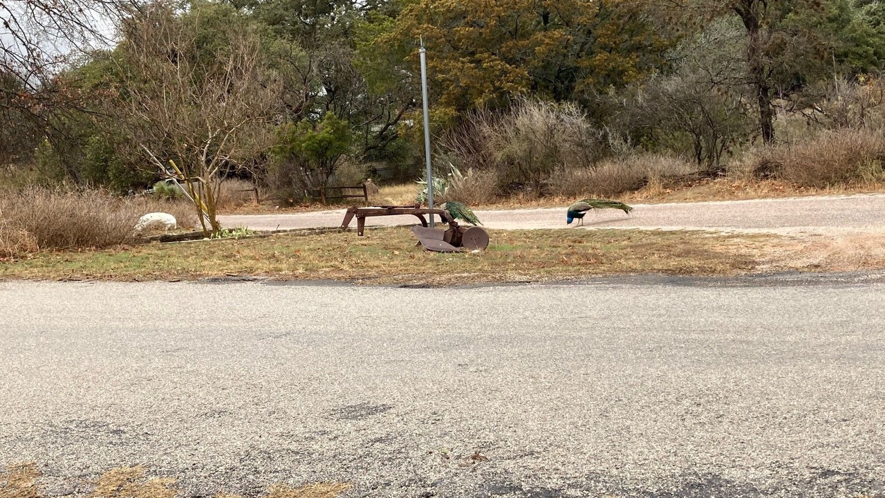 Photo of Others in Buchanan Dam