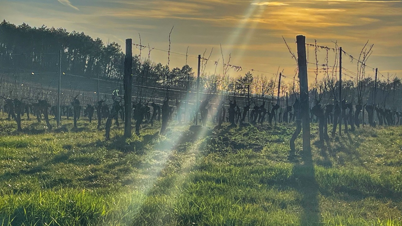 Photo of Outdoor in Albas