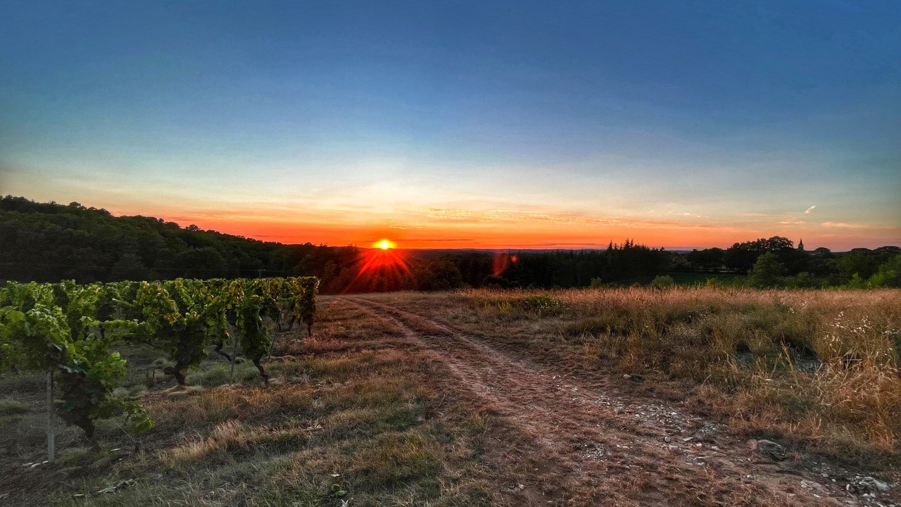 Photo of Outdoor in Albas