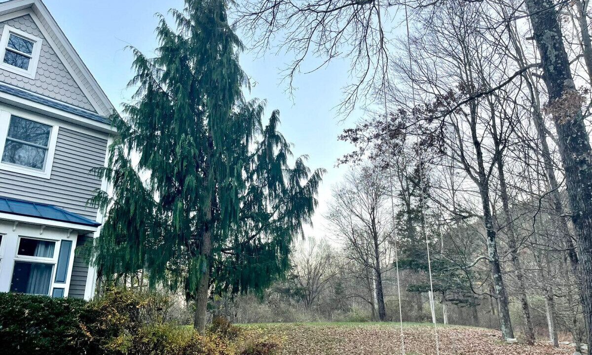 Photo of Outdoor in New Paltz