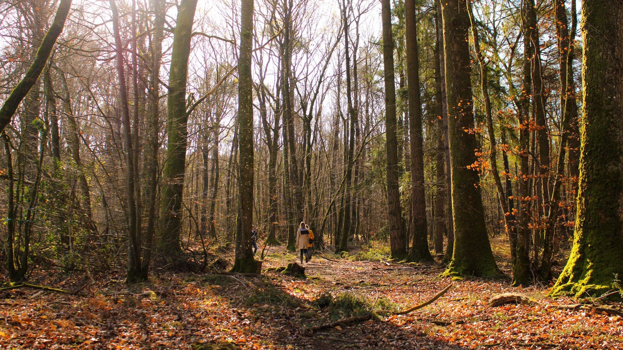 Photo of Outdoor in Vautorte