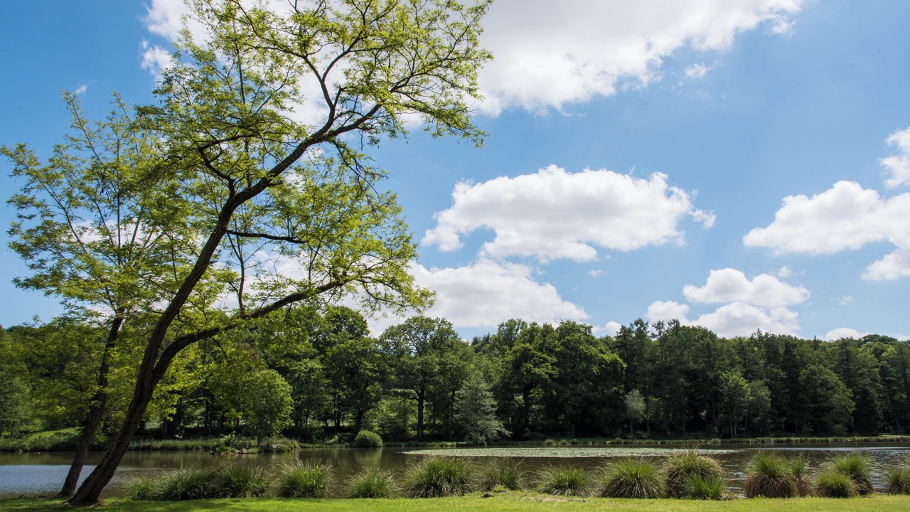 Photo of Outdoor in Vautorte