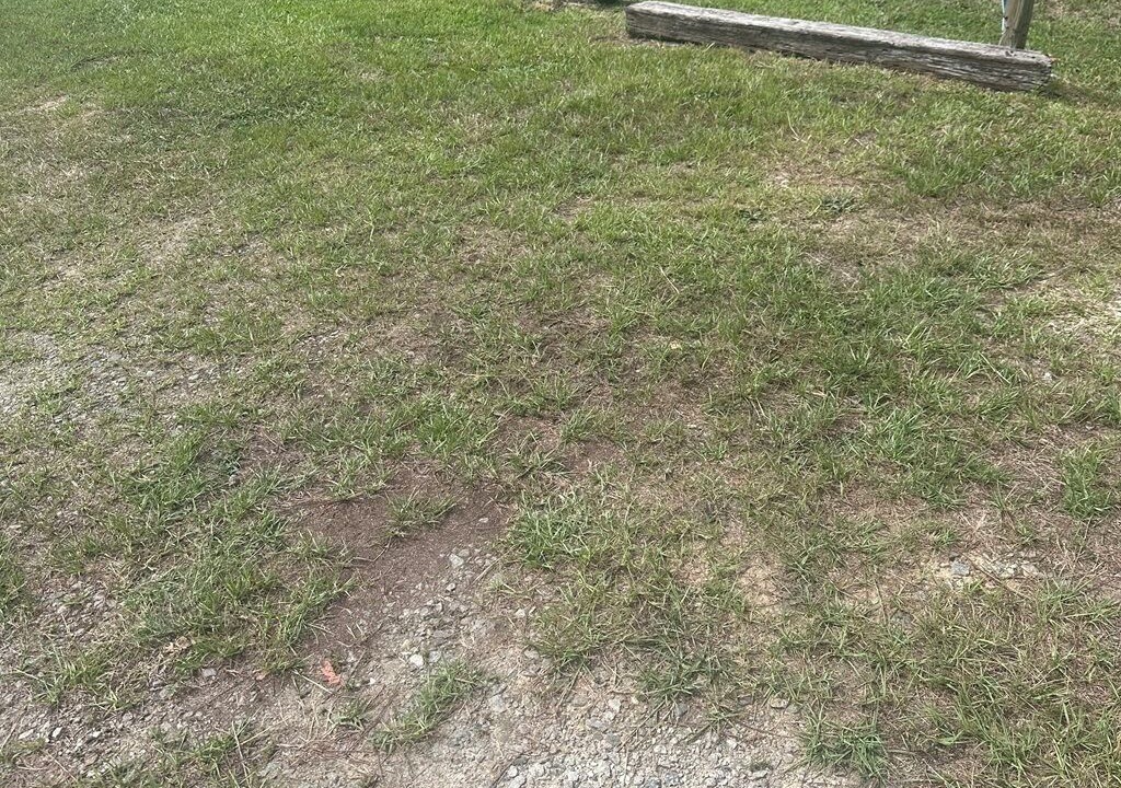 Photo of Outdoor in Hollands Landing