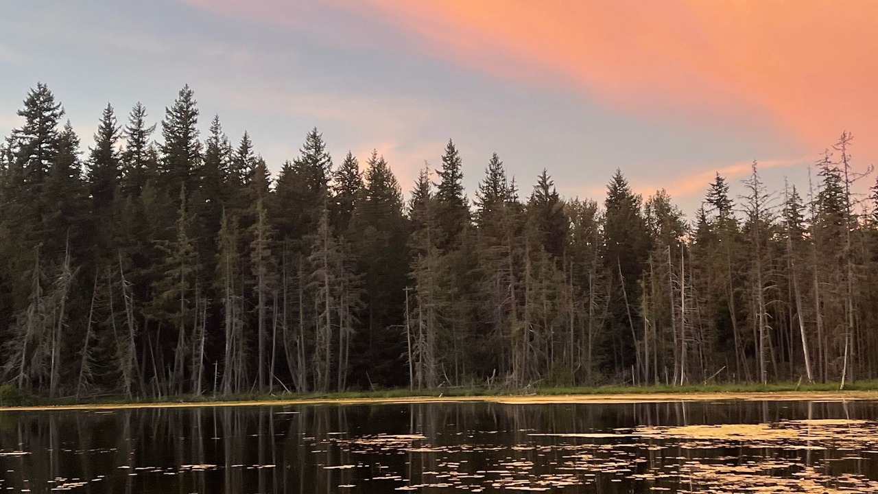 Photo of Outdoor in Black Diamond