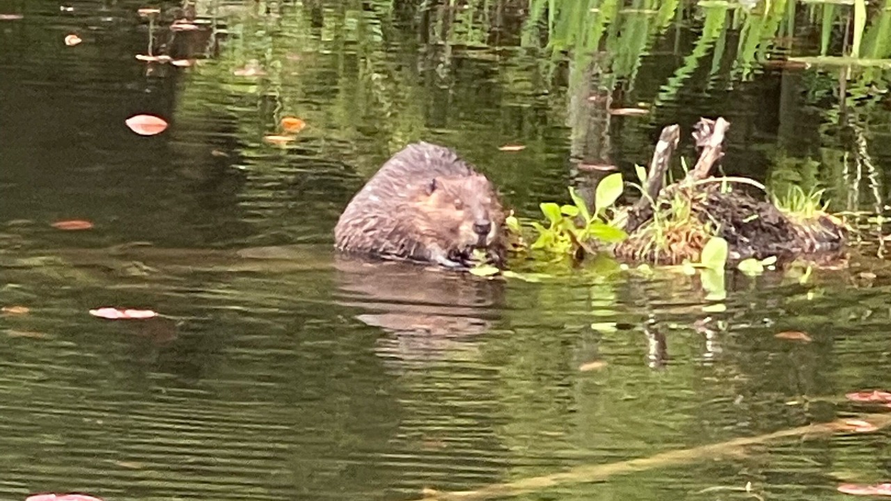 Photo of Outdoor in Black Diamond